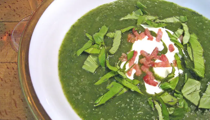 Chilled Lettuce Soup