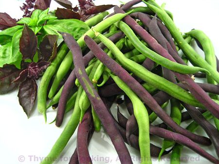 Purple and Green Beans